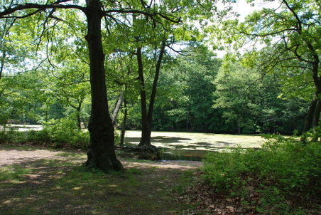 Enlarge photo 19