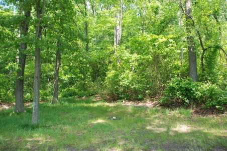 Enlarge photo 23