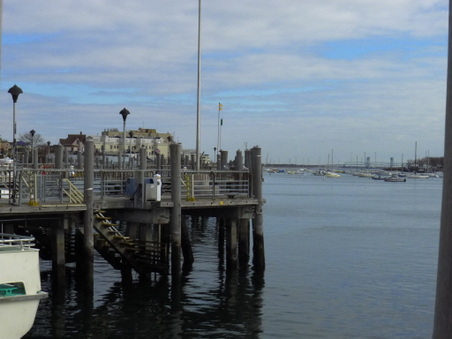 Enlarge photo 8