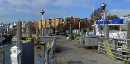 Enlarge photo 4