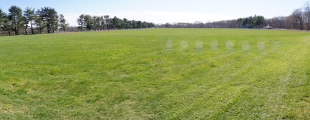 Enlarge photo 12