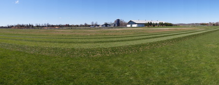 Enlarge photo 5