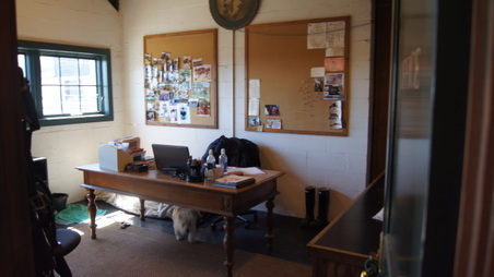 Enlarge photo 41