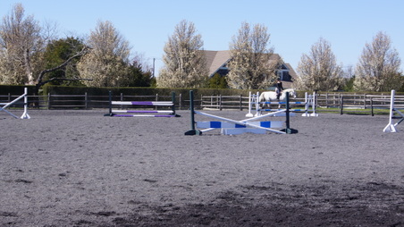 Enlarge photo 59