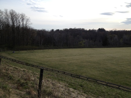 Enlarge photo 26