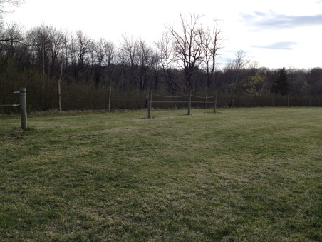 Enlarge photo 29