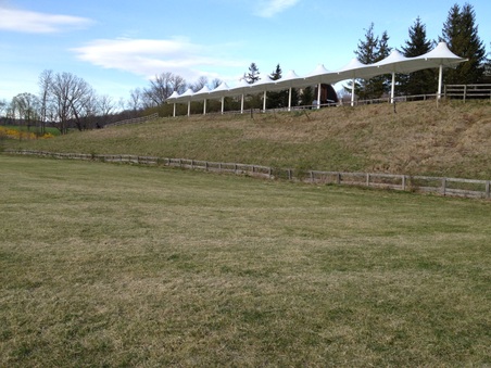 Enlarge photo 31