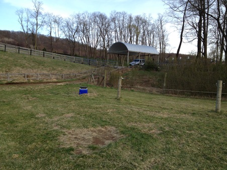 Enlarge photo 34