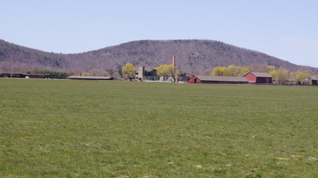 Mashomack Polo Club