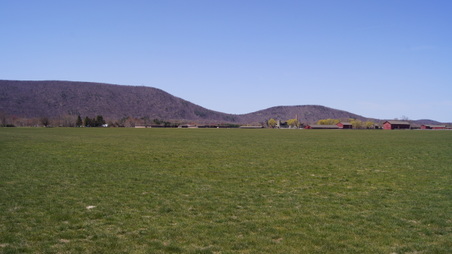 Enlarge photo 2