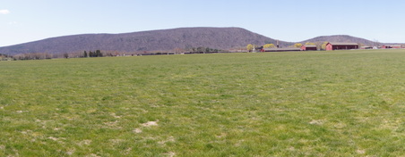 Enlarge photo 3