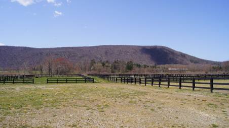 Enlarge photo 14