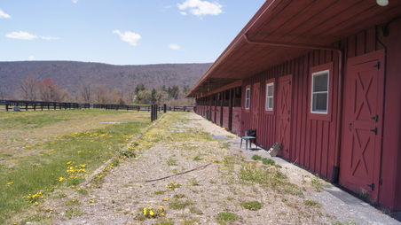 Enlarge photo 23