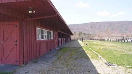 Enlarge photo 24