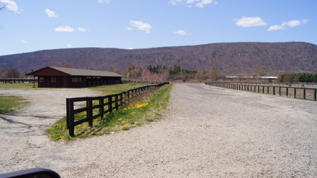 Enlarge photo 25
