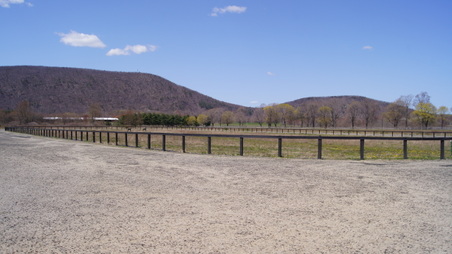 Enlarge photo 26
