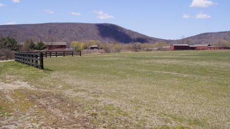 Enlarge photo 29