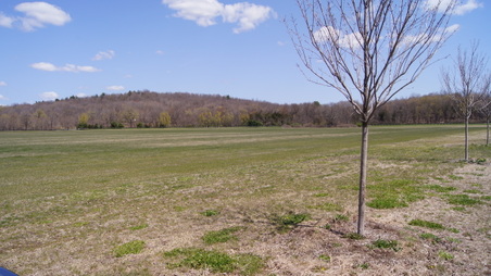 Enlarge photo 30