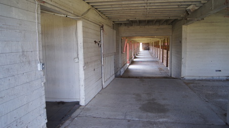 Enlarge photo 37