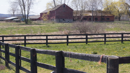 Enlarge photo 89