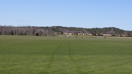 Enlarge photo 15
