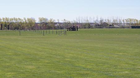 Enlarge photo 16