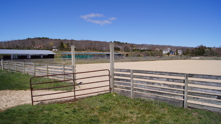 Enlarge photo 20