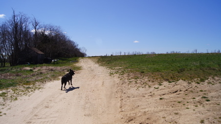 Enlarge photo 23