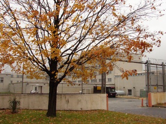 Enlarge photo 35