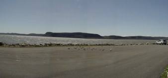Enlarge photo 53