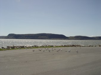 Enlarge photo 54