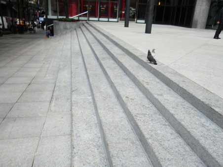 Enlarge photo 16