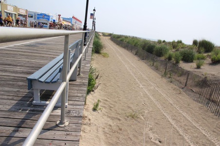 Enlarge photo 54