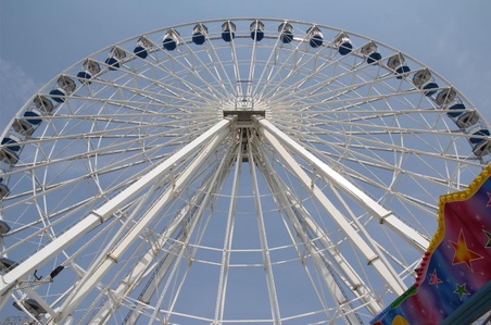 Enlarge photo 30