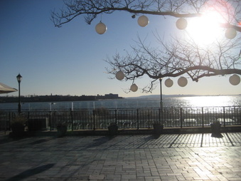Enlarge photo 34