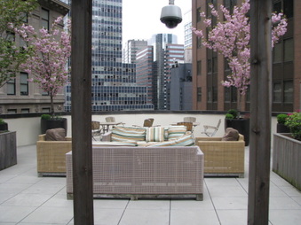 Enlarge photo 19