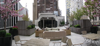 Enlarge photo 20