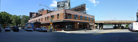 Dinosaur BBQ