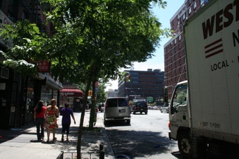 Enlarge photo 20