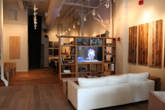 Enlarge photo 11