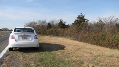 Enlarge photo 3