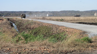 Enlarge photo 14