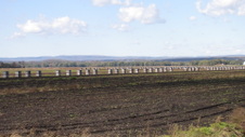Enlarge photo 29