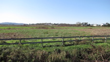 Enlarge photo 42