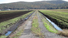 Enlarge photo 55