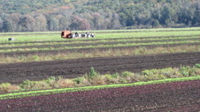 Enlarge photo 59