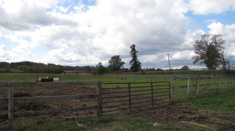 Enlarge photo 2