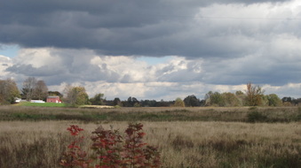 Enlarge photo 17