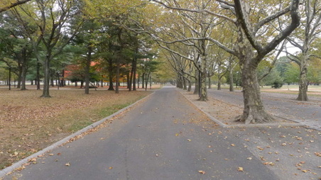 Enlarge photo 2