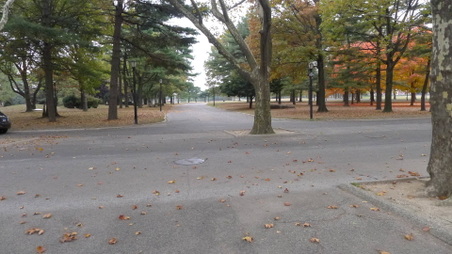 Enlarge photo 13